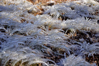 11/27/2013 - Camping at  Beaver Lake in  Broken Bow, Ok