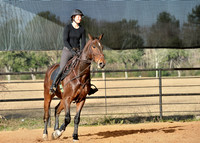GPI_5523.NEF -- Jumping Clinic