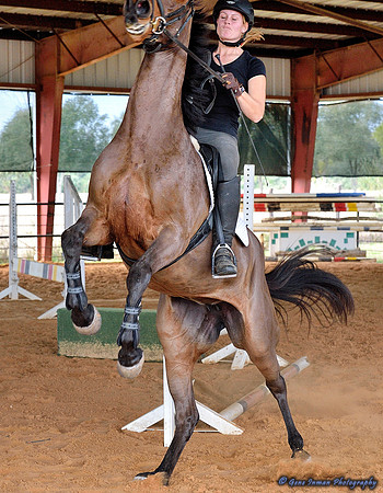 GPI_6134.NEF -- Jumping Clinic