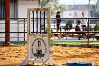 GPI_5440.NEF -- Jumping Clinic