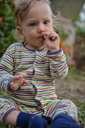 15105 -  Nikon D800 Tests: