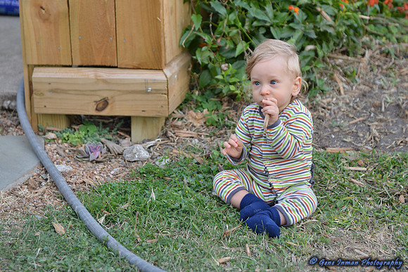15064 -  Nikon D800 Tests: