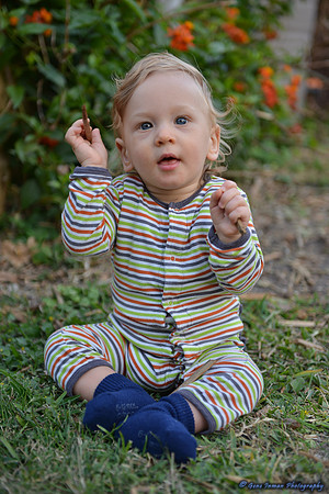 15084 -  Nikon D800 Tests: