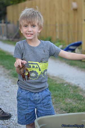15005 -  Nikon D800 Tests: