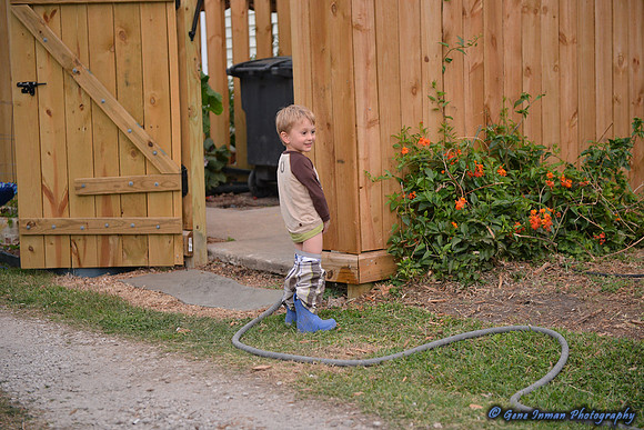 15196 -  Nikon D800 Tests: