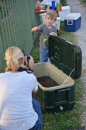 15039 -  Nikon D800 Tests: