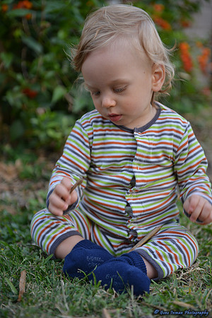15071 -  Nikon D800 Tests: