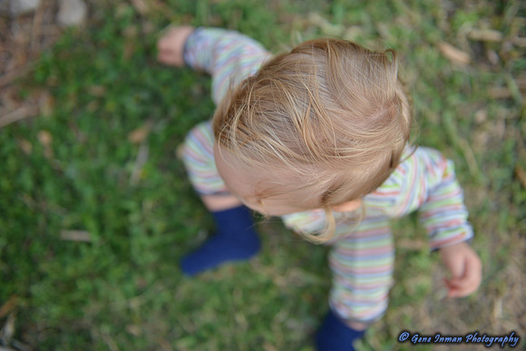 15158 -  Nikon D800 Tests:
