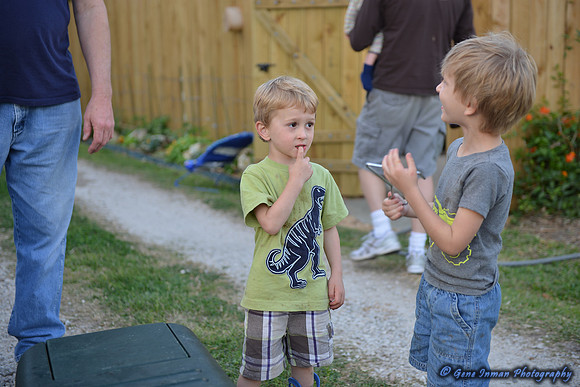 15003 -  Nikon D800 Tests: