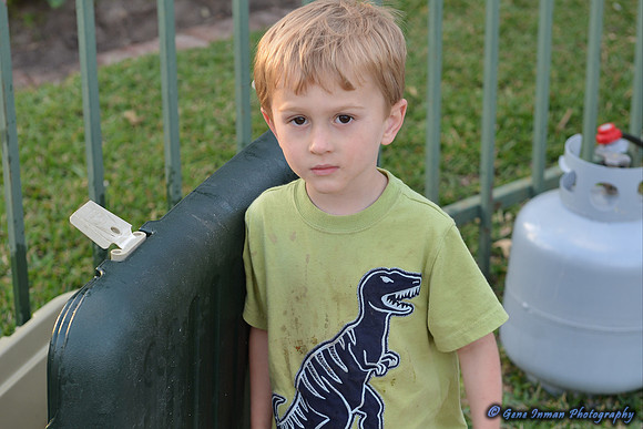 15027 -  Nikon D800 Tests: