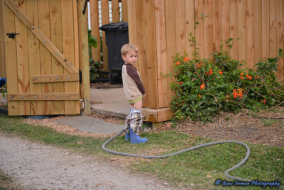 15194 -  Nikon D800 Tests: