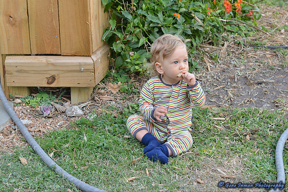 15063 -  Nikon D800 Tests: