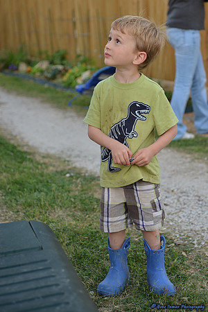 15017 -  Nikon D800 Tests: