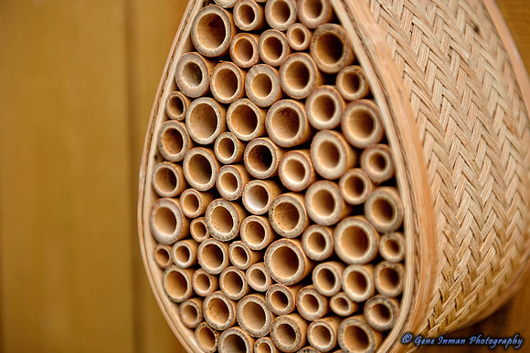 15165 -  Nikon D800 Tests: