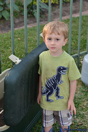 15026 -  Nikon D800 Tests:
