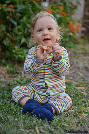 15083 -  Nikon D800 Tests: