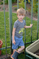 15028 -  Nikon D800 Tests: