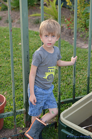15028 -  Nikon D800 Tests: