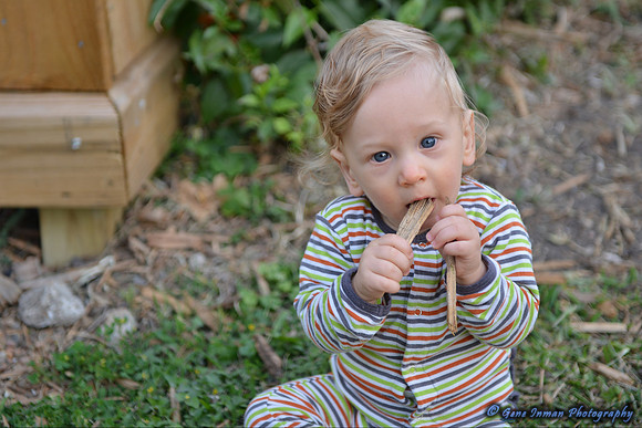 15065 -  Nikon D800 Tests: