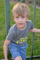 15030 -  Nikon D800 Tests: