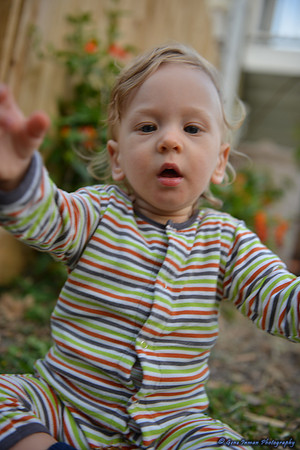 15134 -  Nikon D800 Tests:
