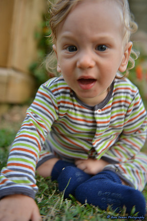 15146 -  Nikon D800 Tests: