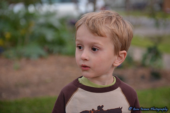 15201 -  Nikon D800 Tests: