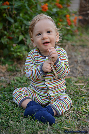 15082 -  Nikon D800 Tests: