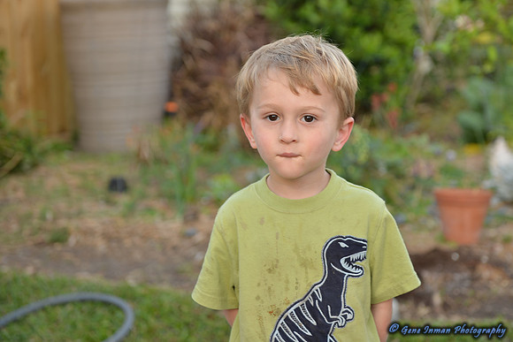 15012 -  Nikon D800 Tests: