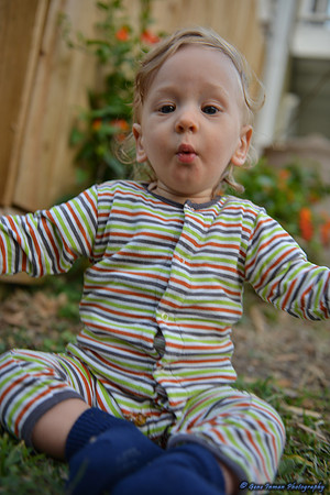 15136 -  Nikon D800 Tests: