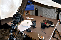 Nikon D800 Macro Tests: Macro Setup- (7/24/2013)