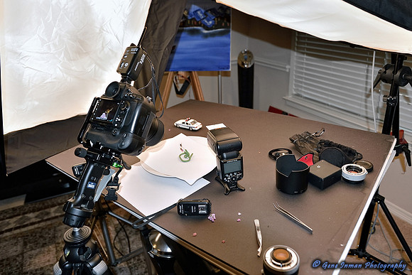 Nikon D800 Macro Tests: Macro Setup- (7/24/2013)