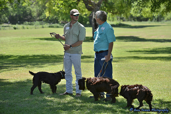 FI_681 - Boykin Spaniel Event - Boykin Spaniel Club of Texas