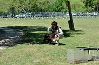 FI_666 - Boykin Spaniel Event - Boykin Spaniel Club of Texas