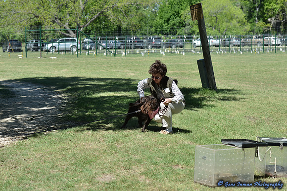 FI_666 - Boykin Spaniel Event - Boykin Spaniel Club of Texas
