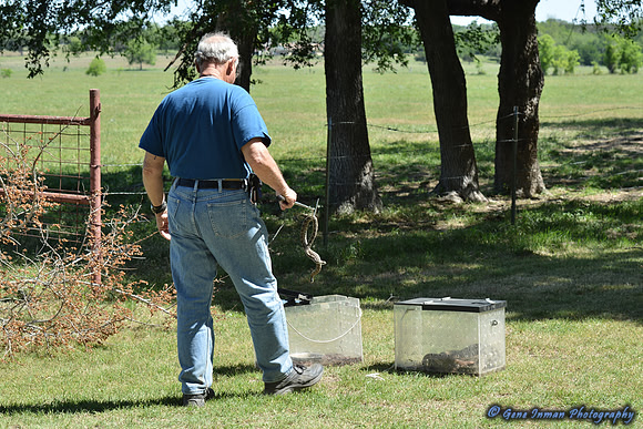 FI_634 - Boykin Spaniel Event - Boykin Spaniel Club of Texas