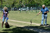 FI_633 - Boykin Spaniel Event - Boykin Spaniel Club of Texas