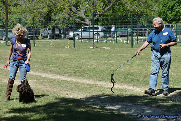FI_633 - Boykin Spaniel Event - Boykin Spaniel Club of Texas