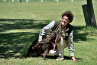 FI_667 - Boykin Spaniel Event - Boykin Spaniel Club of Texas