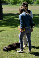 FI_642 - Boykin Spaniel Event - Boykin Spaniel Club of Texas