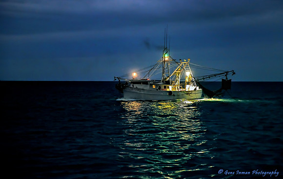 shrinp2.tif - Key West 2014