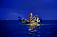ShrimpBoat v2.jpg - Key West 2014