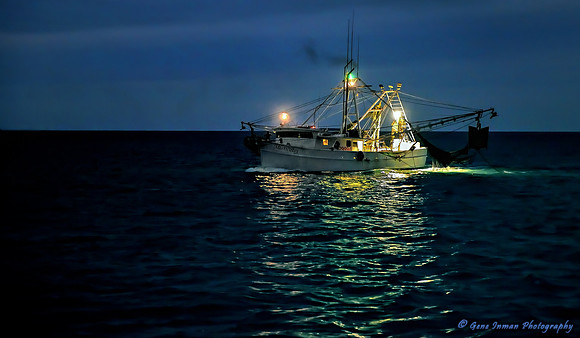 shrinp2.tif - Key West 2014