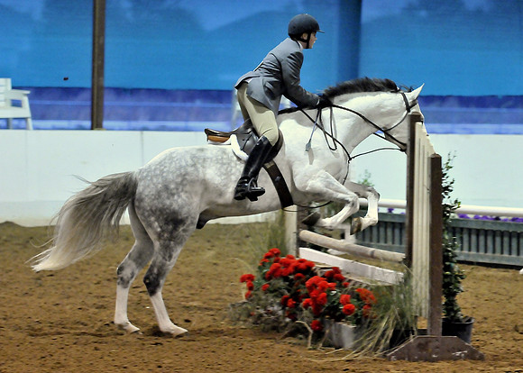 High Iso Fast Action