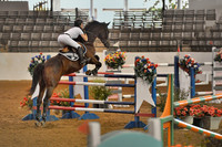 10268   -Great Southwest Equestrian Center