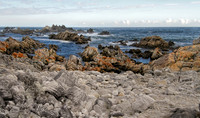 DSCN1677