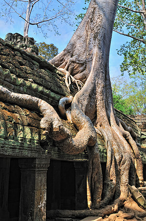 GPI_6178_Cambodia-done_topaz_GenesColor