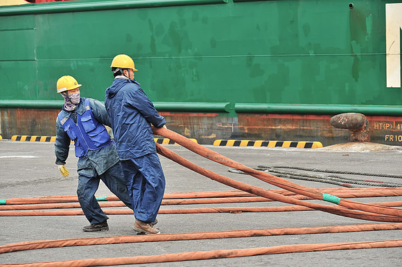 GPI_9521_03589- Coli -Ulsan_425_Batch_426_Batch2_298_V4B-TopezLessSat