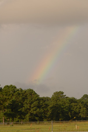 DSC_5809