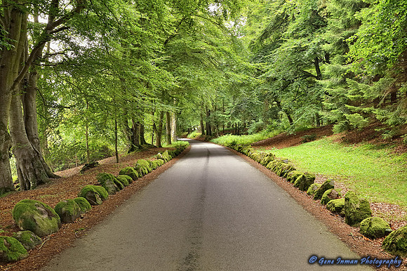 Scottish Road - GPI_7406.NEF